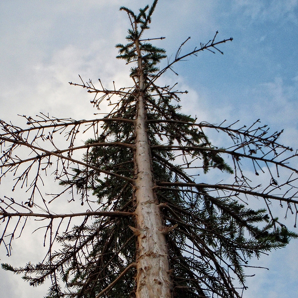 Photo Sude 2010