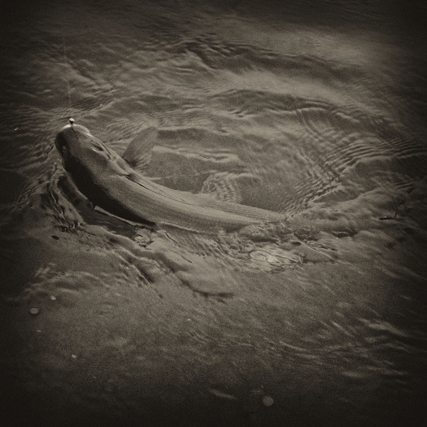 Photo Sude 2010