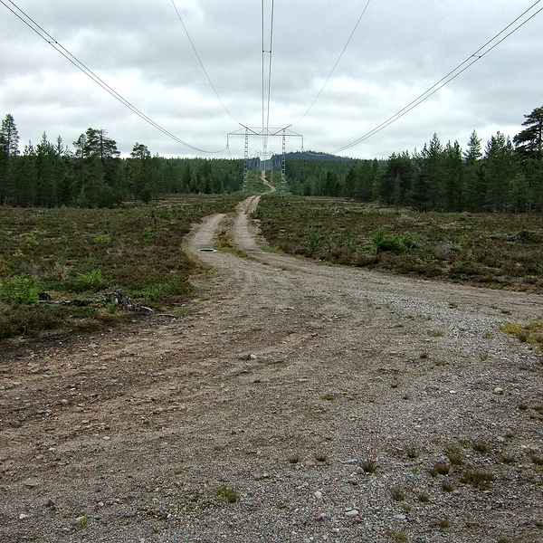 Photo Sude 2010