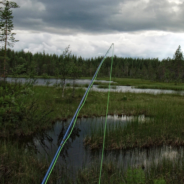 Photo Sude 2010